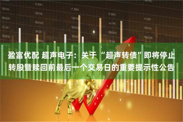 盈富优配 超声电子：关于 “超声转债”即将停止转股暨赎回前最后一个交易日的重要提示性公告