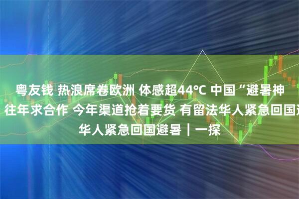 粤友钱 热浪席卷欧洲 体感超44℃ 中国“避暑神器”遭疯抢 往年求合作 今年渠道抢着要货 有留法华人紧急回国避暑｜一探