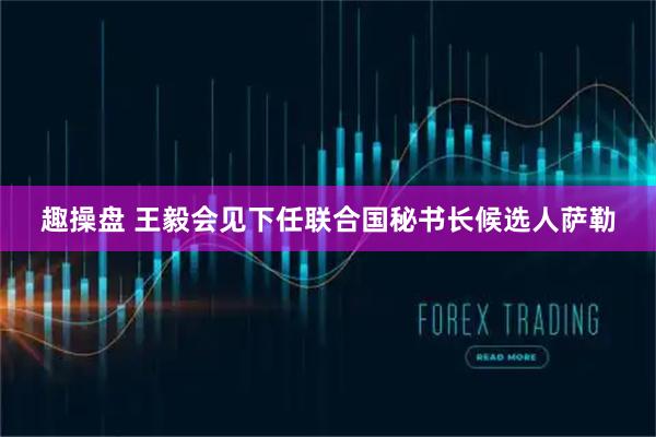 趣操盘 王毅会见下任联合国秘书长候选人萨勒