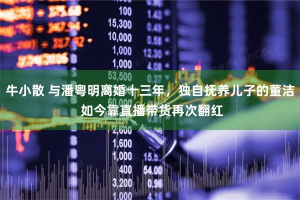 牛小散 与潘粤明离婚十三年，独自抚养儿子的董洁 如今靠直播带货再次翻红